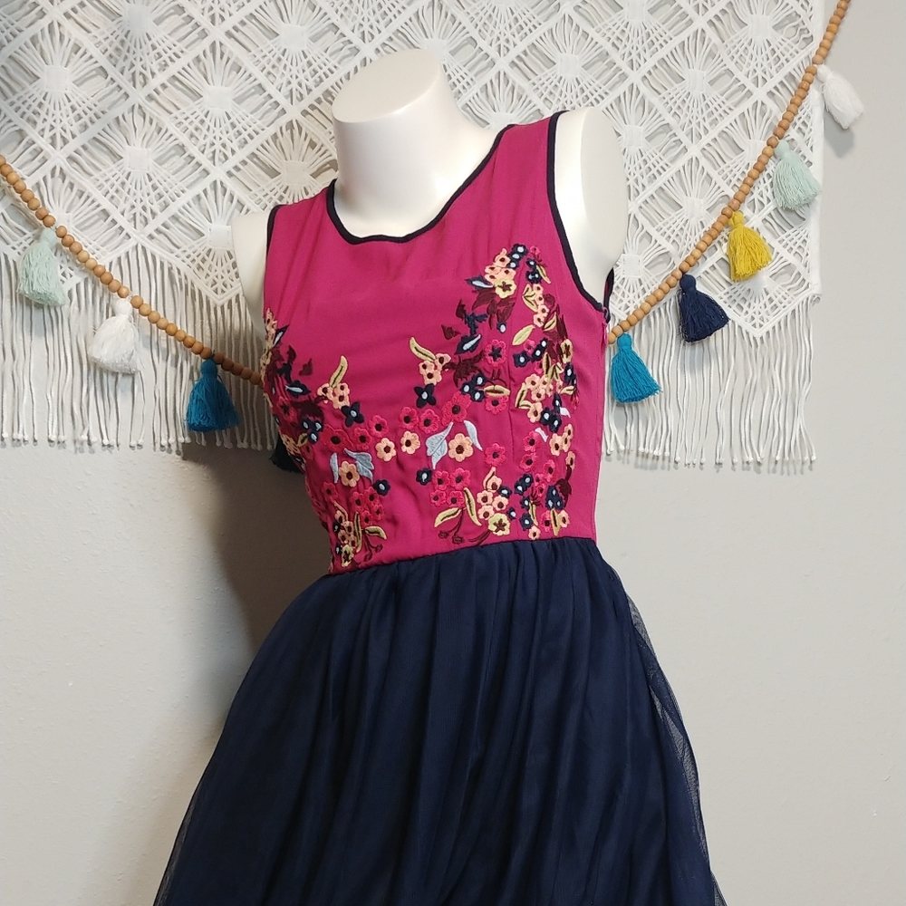 Embroidered Dress with Tulle Skirt